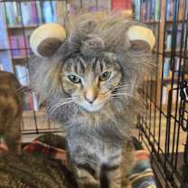 Thumbnail photo of Merry #1