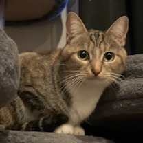 Thumbnail photo of Marcella #1