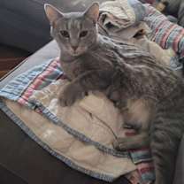 Thumbnail photo of Kinsey #1