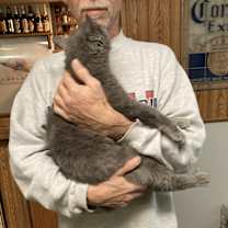 Thumbnail photo of Meredith aka nubs #1