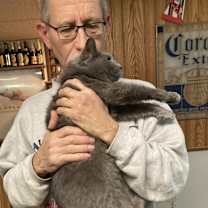 Thumbnail photo of Meredith aka nubs #2