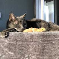 Thumbnail photo of MOCHA #2