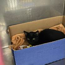 Thumbnail photo of Quinton #1