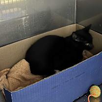 Thumbnail photo of Quinton #3