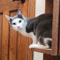 Thumbnail photo of Sam #3