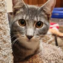 Thumbnail photo of Bruce #1