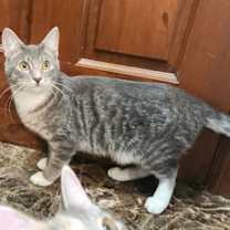 Thumbnail photo of Bruce #2