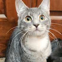 Thumbnail photo of Bruce #3