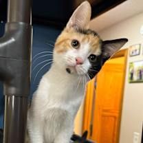 Thumbnail photo of Dorthy #2