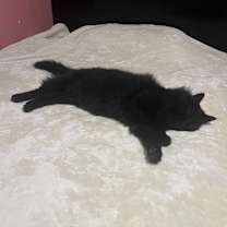 Thumbnail photo of Sophie #2