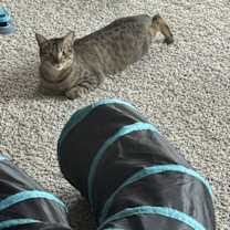 Thumbnail photo of Moby #2