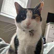 Thumbnail photo of Poppy #2