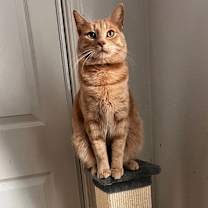 Thumbnail photo of Skibidi (& Bubbles) #1