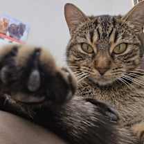 Thumbnail photo of Cracker-Jackie #1