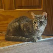 Thumbnail photo of Panchita #1