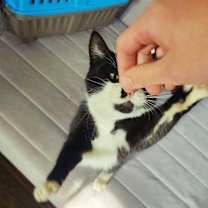 Thumbnail photo of Celeste #4