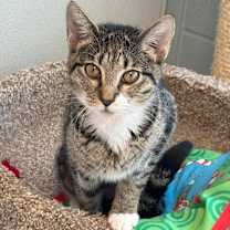 Thumbnail photo of Jolie #1