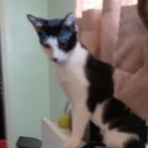 Thumbnail photo of Aly #1