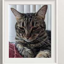 Thumbnail photo of Bonnie #1