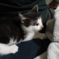 Thumbnail photo of Aly #2