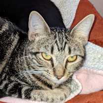 Thumbnail photo of Bonnie #2