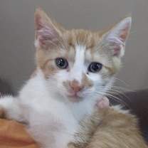 Thumbnail photo of Dwight #3