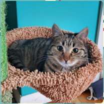 Thumbnail photo of Kipo #4