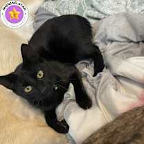 Thumbnail photo of Max #1