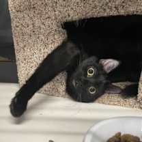 Thumbnail photo of Pete #1