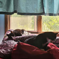 Thumbnail photo of Magic #3