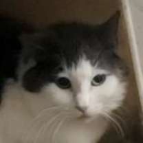 Thumbnail photo of Martha May #2