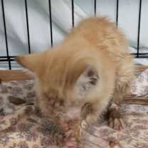 Thumbnail photo of Metric #3