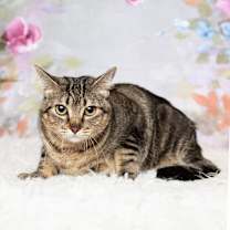 Thumbnail photo of Marla #2