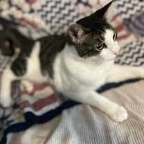 Thumbnail photo of Bandit #3