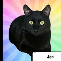 Thumbnail photo of John Stewart #1