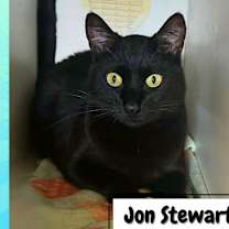 Thumbnail photo of John Stewart #2