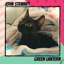 Thumbnail photo of John Stewart #3
