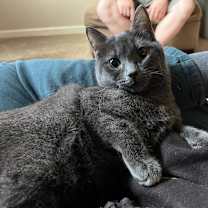 Thumbnail photo of Charcoal #3