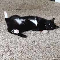 Thumbnail photo of Serge #2