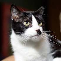 Thumbnail photo of Charley Girl #1