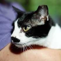 Thumbnail photo of Charley Girl #2