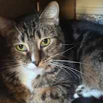 Thumbnail photo of Momma Maisy (Momma May) #1