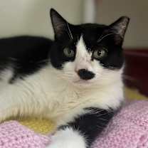 Thumbnail photo of Charley Girl #4