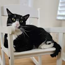 Thumbnail photo of Aramis #1