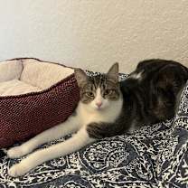 Thumbnail photo of Franklin #3