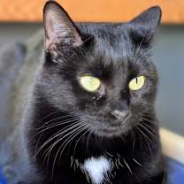 Thumbnail photo of Minnie #1