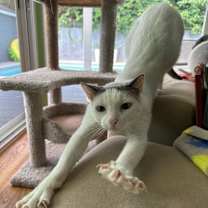 Thumbnail photo of Bo #1