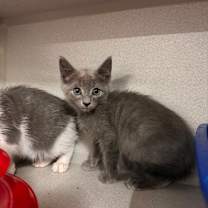 Thumbnail photo of Ranch #2