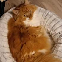 Thumbnail photo of Raquell #1