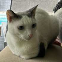 Thumbnail photo of Bo #2